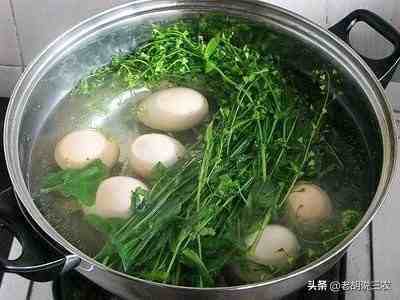 荠菜煮鸡蛋（三月三，究竟为啥要用荠菜煮鸡蛋？）