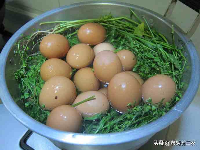 荠菜煮鸡蛋（三月三，究竟为啥要用荠菜煮鸡蛋？）