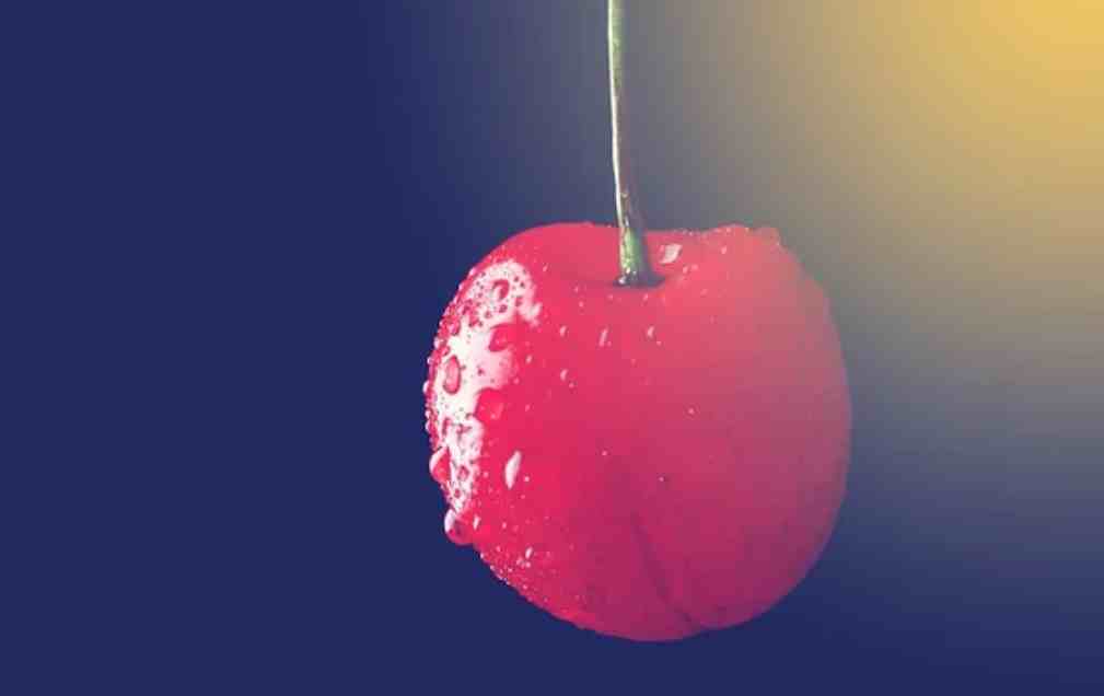 樱桃的营养（哪种樱桃营养价值最高？）