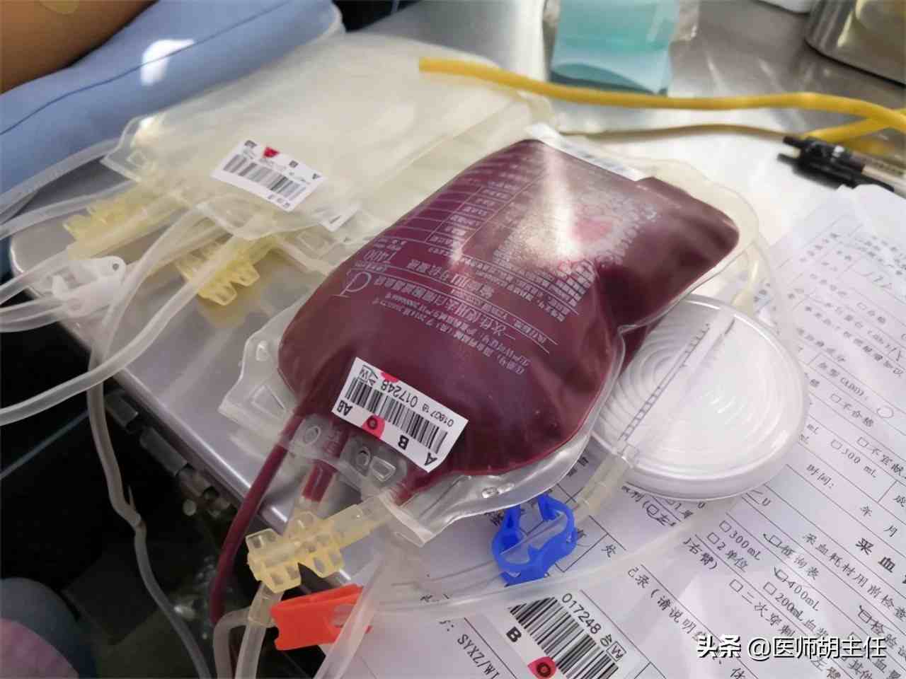 献血后多久能恢复(献血后多久能恢复到原来的状态)