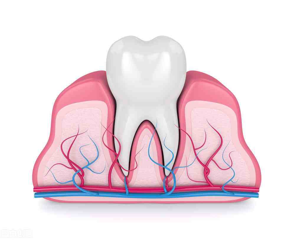 牙冠一般能用多久(戴牙冠后牙齿的寿命)