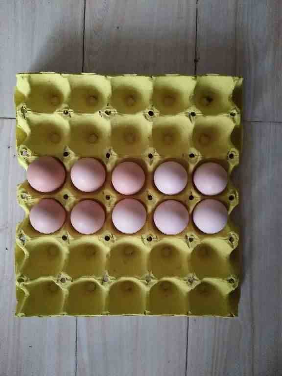 生鸡蛋能放多久(鸡蛋放两个月会怎么样)