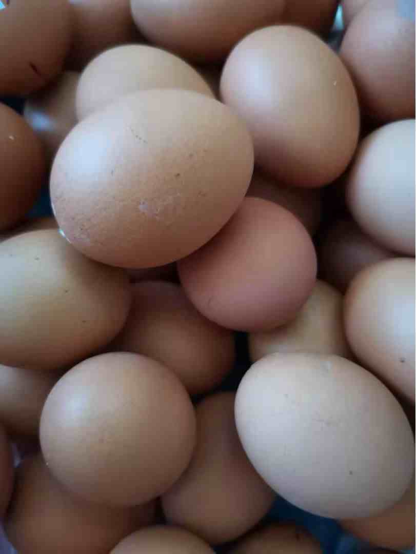 鸡蛋冷藏能放多久(鸡蛋放了5个月还能吃吗)