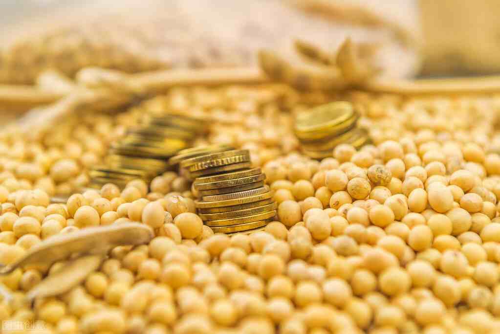 2020中国大豆进口超亿吨，美国转基因豆卷土重来，约占40%