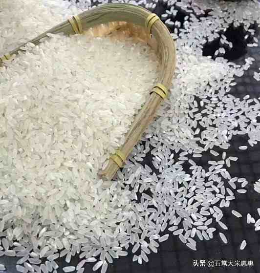 东北五常大米:在中国最好吃的大米里排名第一，为什么？