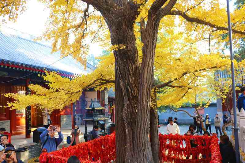 北京紅螺寺求什麼最靈紅螺寺求姻緣後分手了