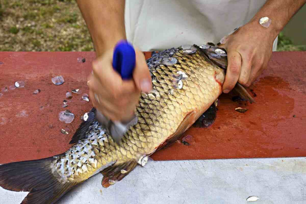 學5招伯樂相魚 7招庖丁解魚,煮夫變神廚