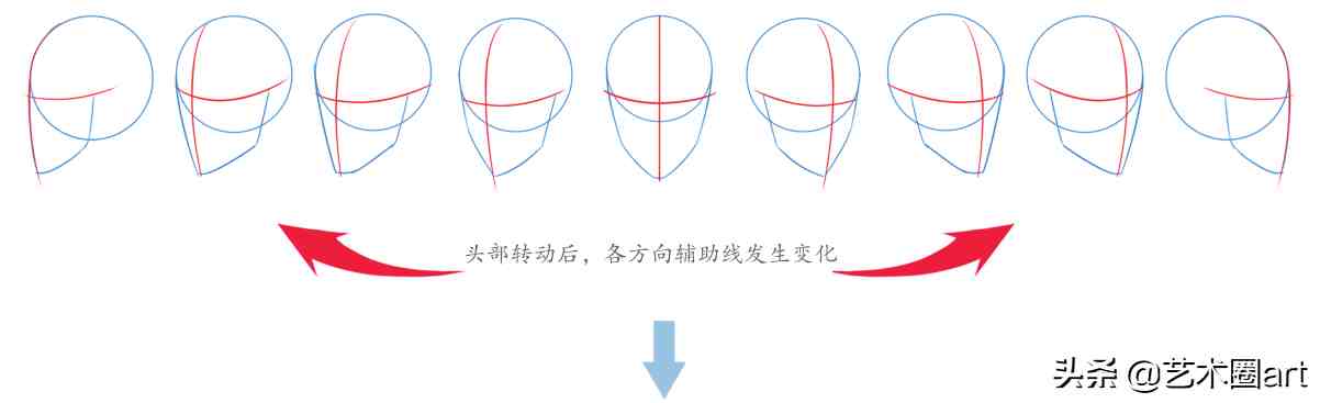 要确定人物头部的"十字线,这是画头部或脸部时经常用到的主要辅助线