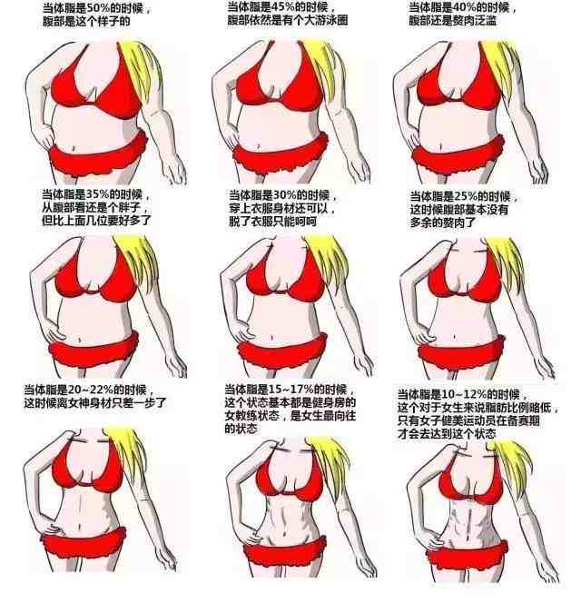 女生体脂率对照图图片