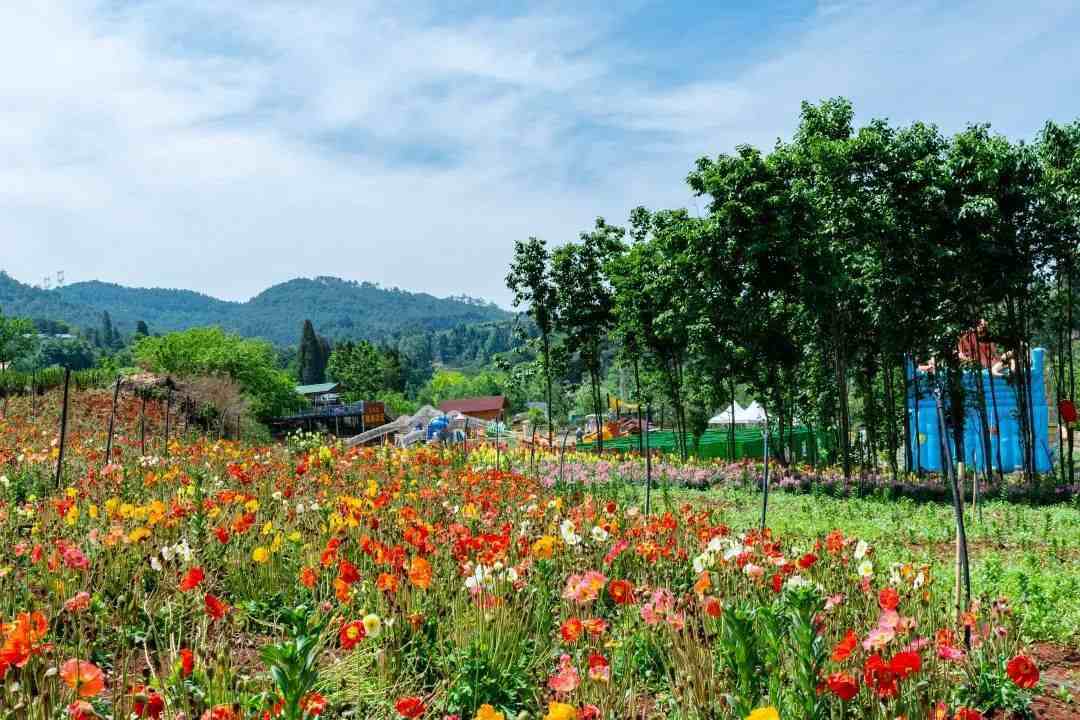 昆明旅遊景點有哪些離昆明最近的旅遊景點