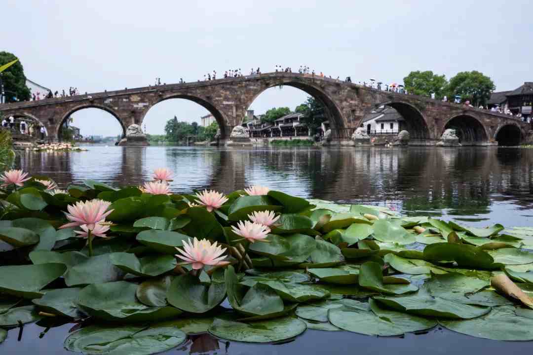 紹興有哪些旅遊景點湖州旅遊必去十大景點