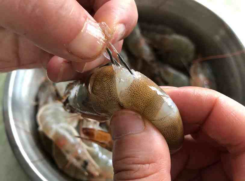 蝦線怎麼挑挑蝦線怎麼樣最簡單容易挑出來