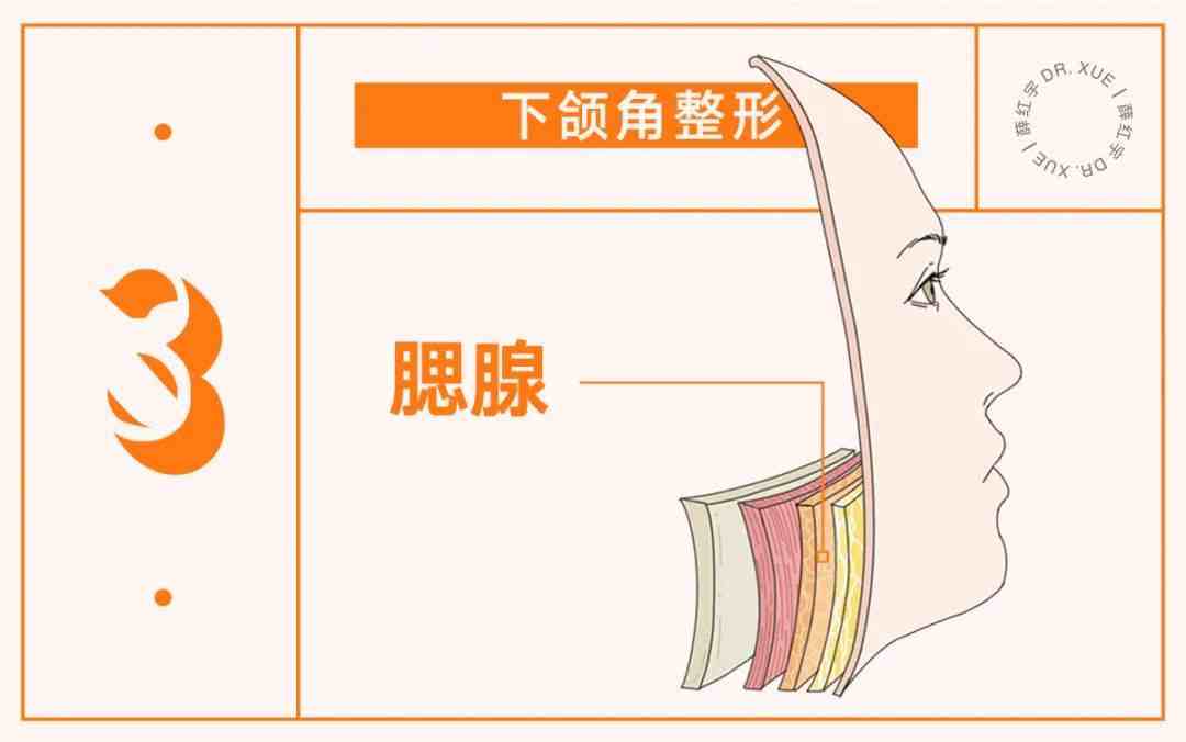 五个层次分析下颌角肥大