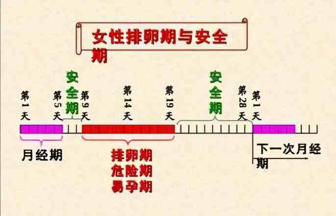 安全期表图最准确图片