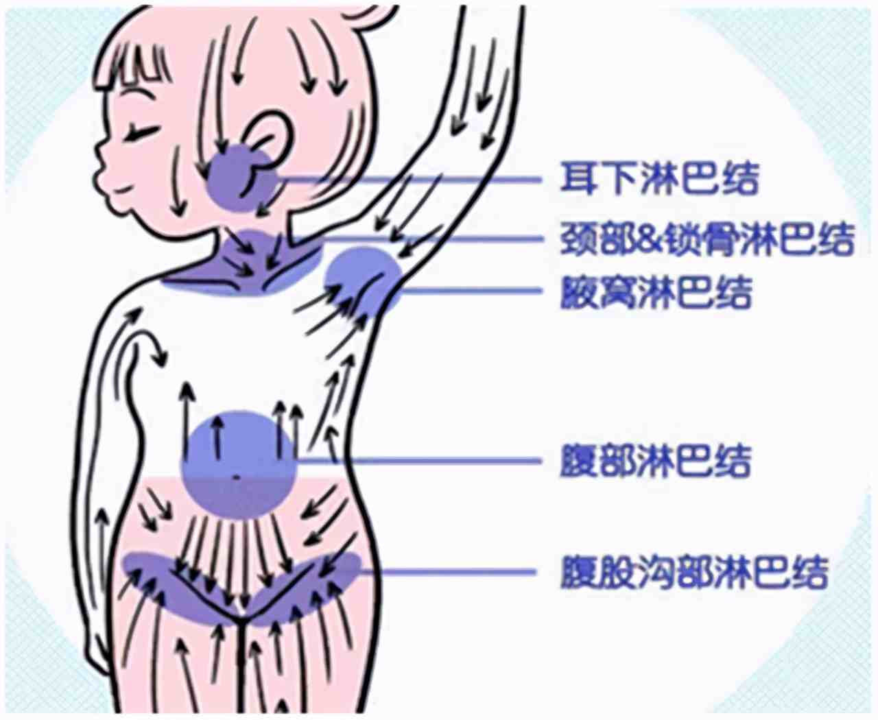 淋巴结节位置图片