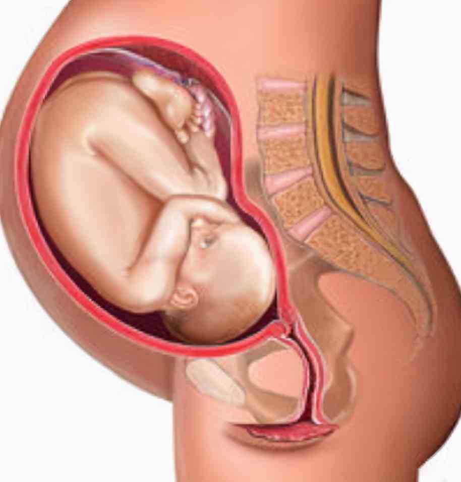 孕期33周后，这5种感觉说明胎宝已入盆，孕妈妈离“卸货”不远了