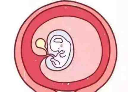 怀孕多久会出现胎心胎芽和孕囊？为什么出现胎停？