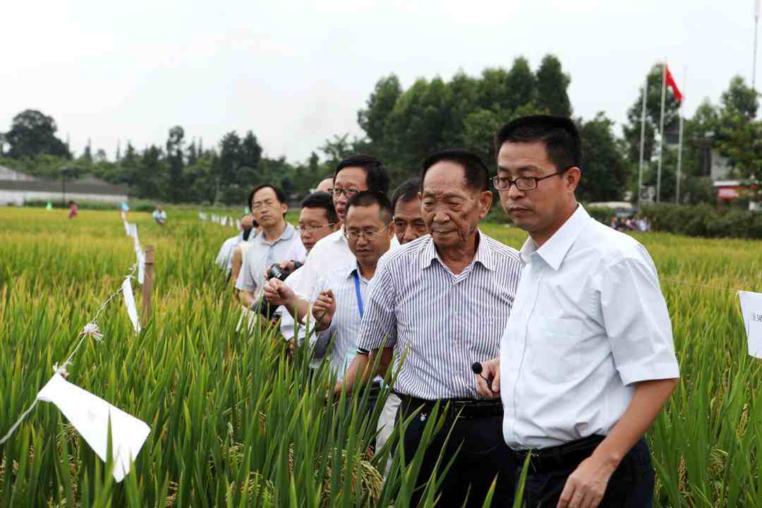 2007年,袁隆平來到成都,啟動了雜交水稻