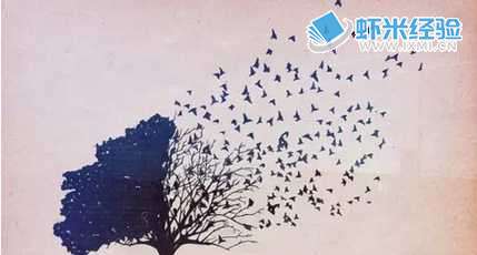 2015湖南高考作文“有一棵想旅行的大树”怎么样写