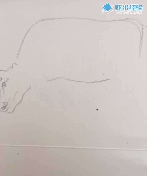 一头奶牛的简笔画怎样画