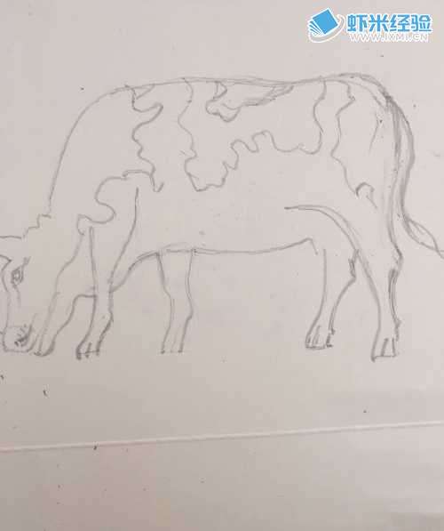 一头奶牛的简笔画怎样画