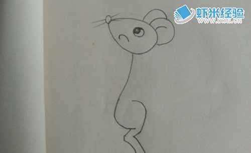 宝宝画画—小老鼠怎么样画