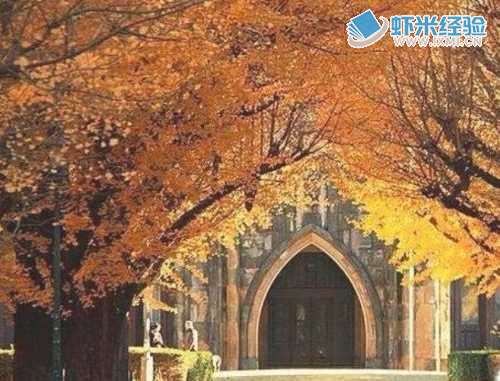 申请日本东京大学需要哪些条件