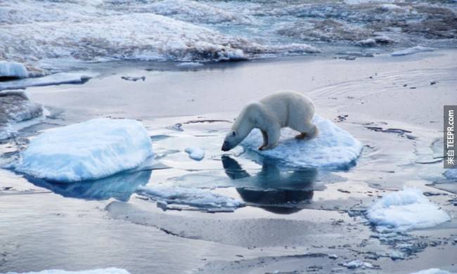 北冰洋近于半封闭__北冰洋全年结冰吗