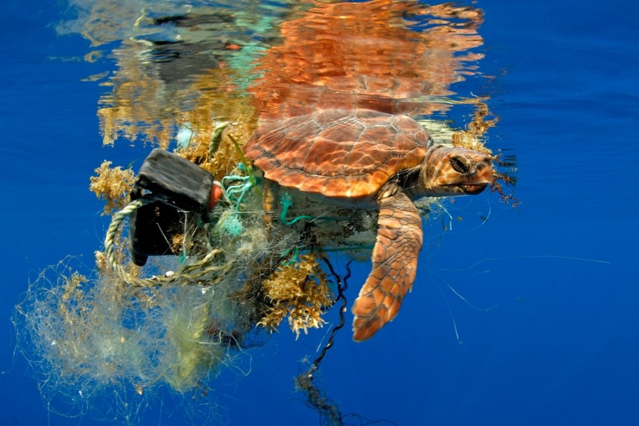 _塑料海洋的产生原因_海洋塑料问题