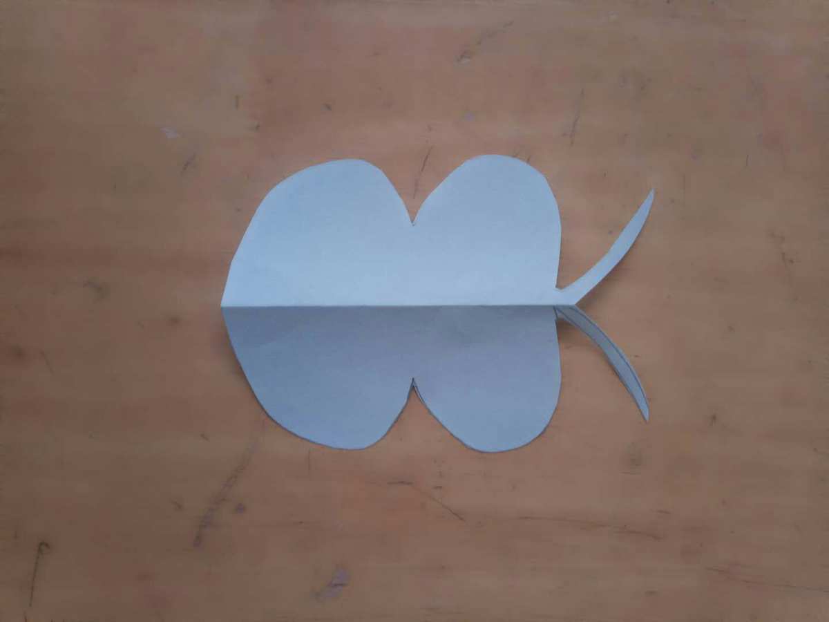 蝴蝶折纸盒结构图_蝴蝶结纸盒折纸_