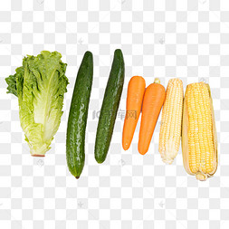 今日蔬菜市场参考价格__今日蔬菜的价格