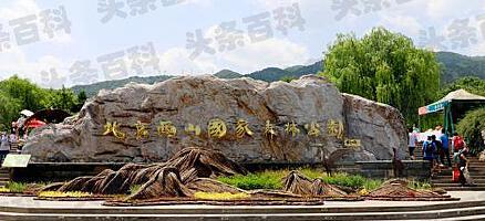 _北京西山森林公园有哪些景点_北京西山国家森林公园景点介绍