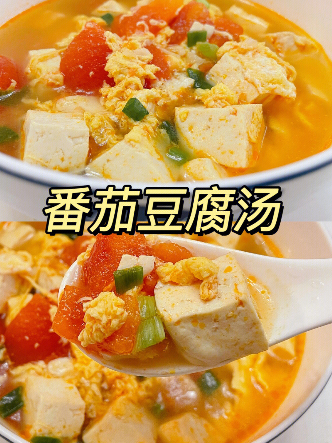 炖西红柿豆腐家常做法大全_西红柿炖豆腐的做法_