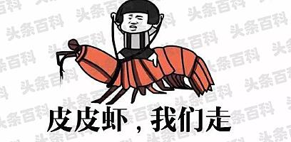 皮虾虾资源__走皮皮虾
