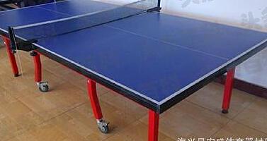 _乒乓球台桌的尺寸_乒乓球桌标准尺寸百度百科