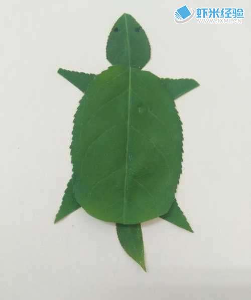 怎么样用树叶做乌龟