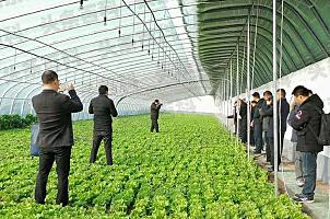 _上海蔬菜批发主要供应产地_上海蔬菜批发农贸市场