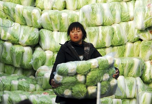 上海蔬菜批发主要供应产地_上海蔬菜批发农贸市场_