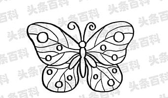 画蝴蝶的笔画怎么画又简单视频__笔画蝴蝶简笔画