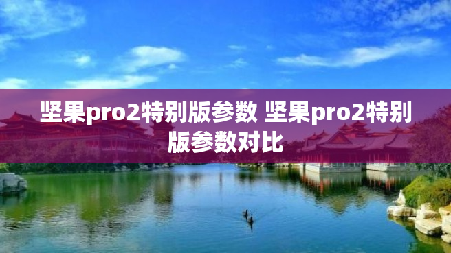坚果pro2特别版参数 坚果pro2特别版参数对比