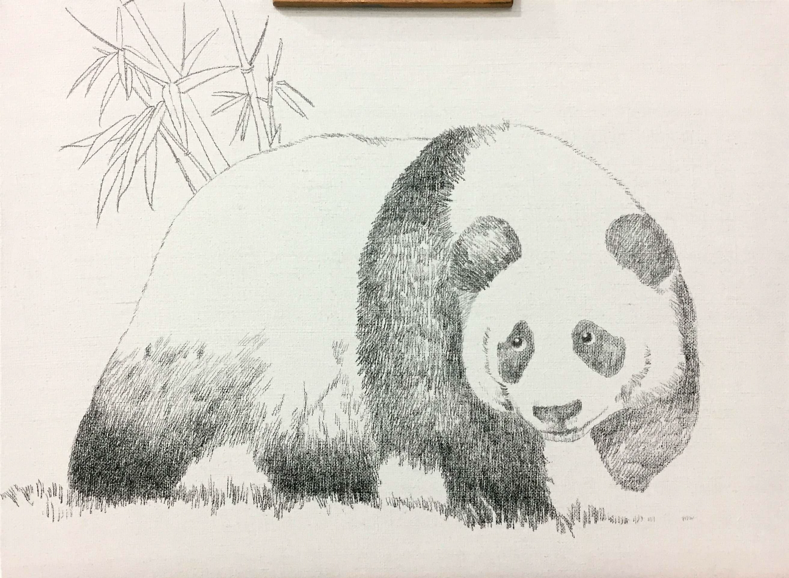熊猫作画步骤_播放熊猫绘画教程_