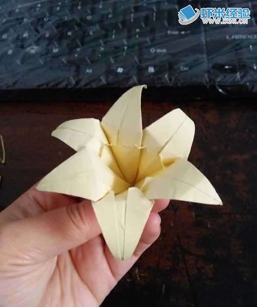 怎么折六瓣的百合花