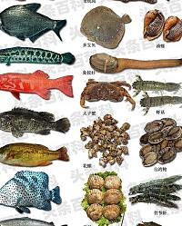 贝类海鲜种类图片及名称__鹦鹉种类图和名字图片价格
