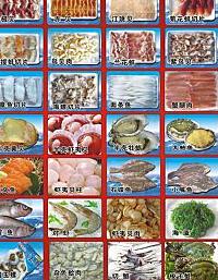 _贝类海鲜种类图片及名称_鹦鹉种类图和名字图片价格