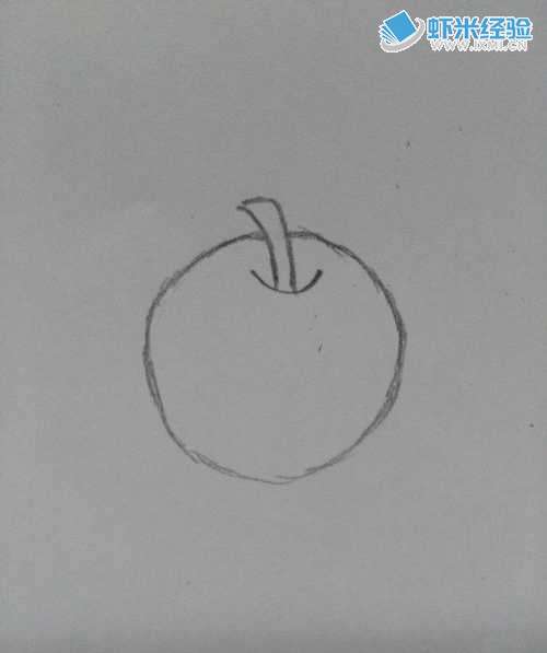 苹果和梨子的简笔画