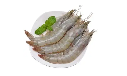 日本排放核污水还能吃虾吗2