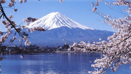 日本排放核污水还能去日本旅游吗1